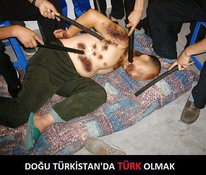 türk1(1)